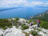 14. povratak